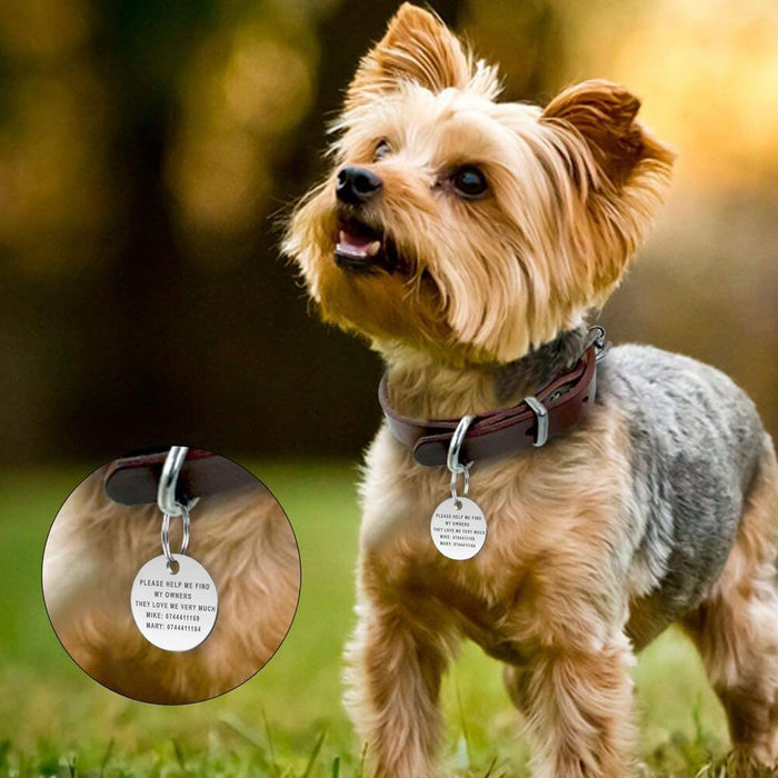 Personalised Engraved Round, Oblong and Bone Shaped Dog Collar ID Tags in Five Colours